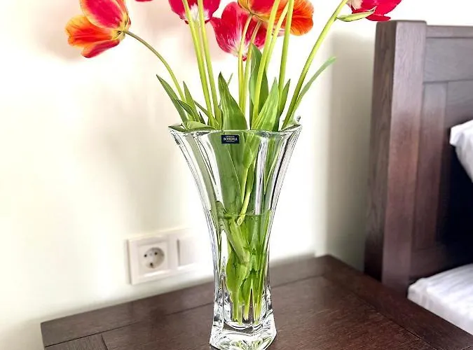 Osapart Malevich In The Complex Great Britain