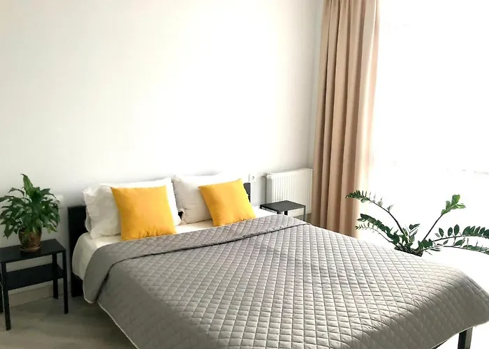 Osapart Malevich In The Complex Great Britain * Lvov