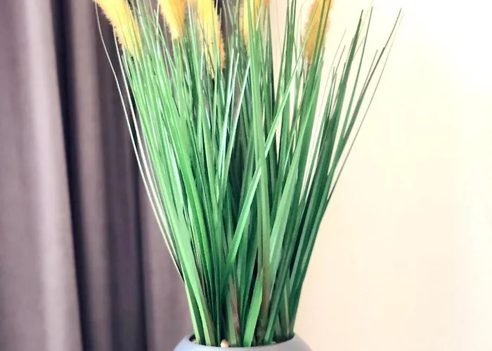 Osapart Malevich In The Complex Great Britain *