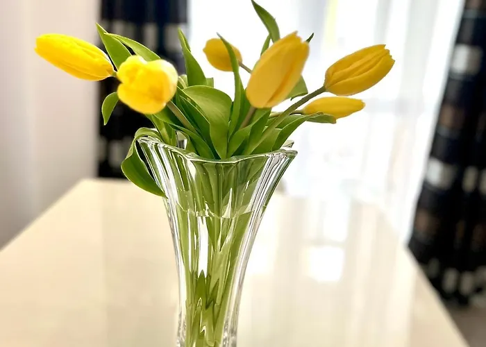 Osapart Malevich In The Complex Great Britain Lvov