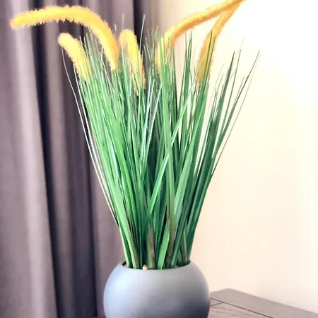 Osapart Malevich In The Complex Great Britain *