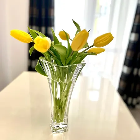 Osapart Malevich In The Complex Great Britain Lviv