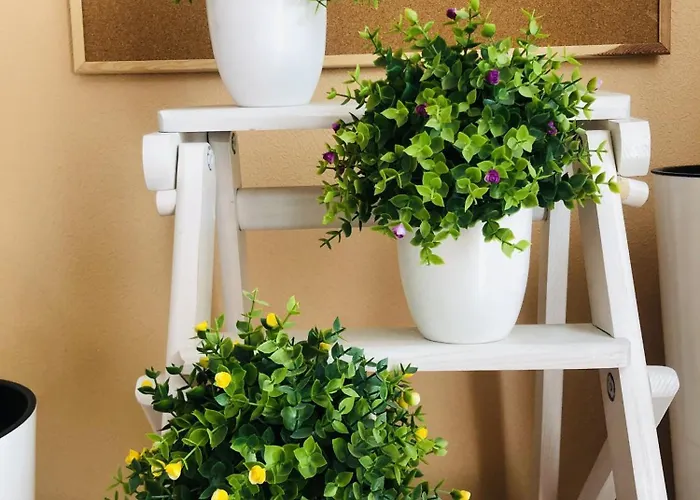 Osapart Malevich In The Complex Great Britain