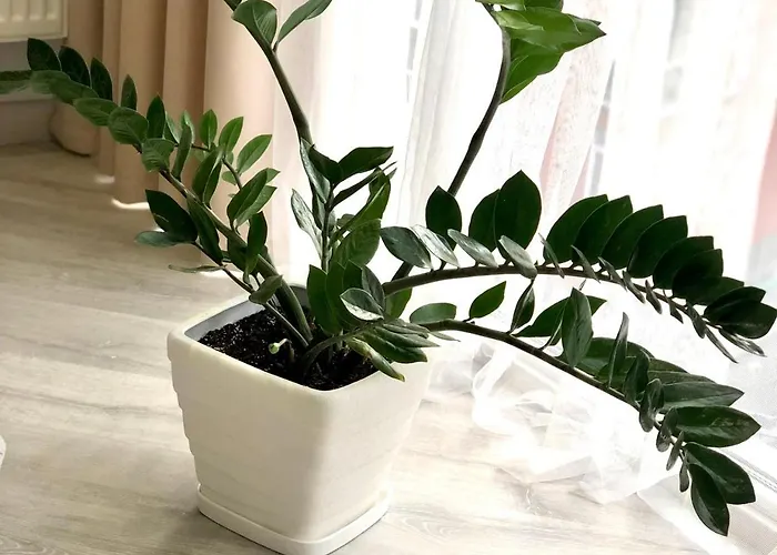 아파트 Osapart Malevich In The Complex Great Britain